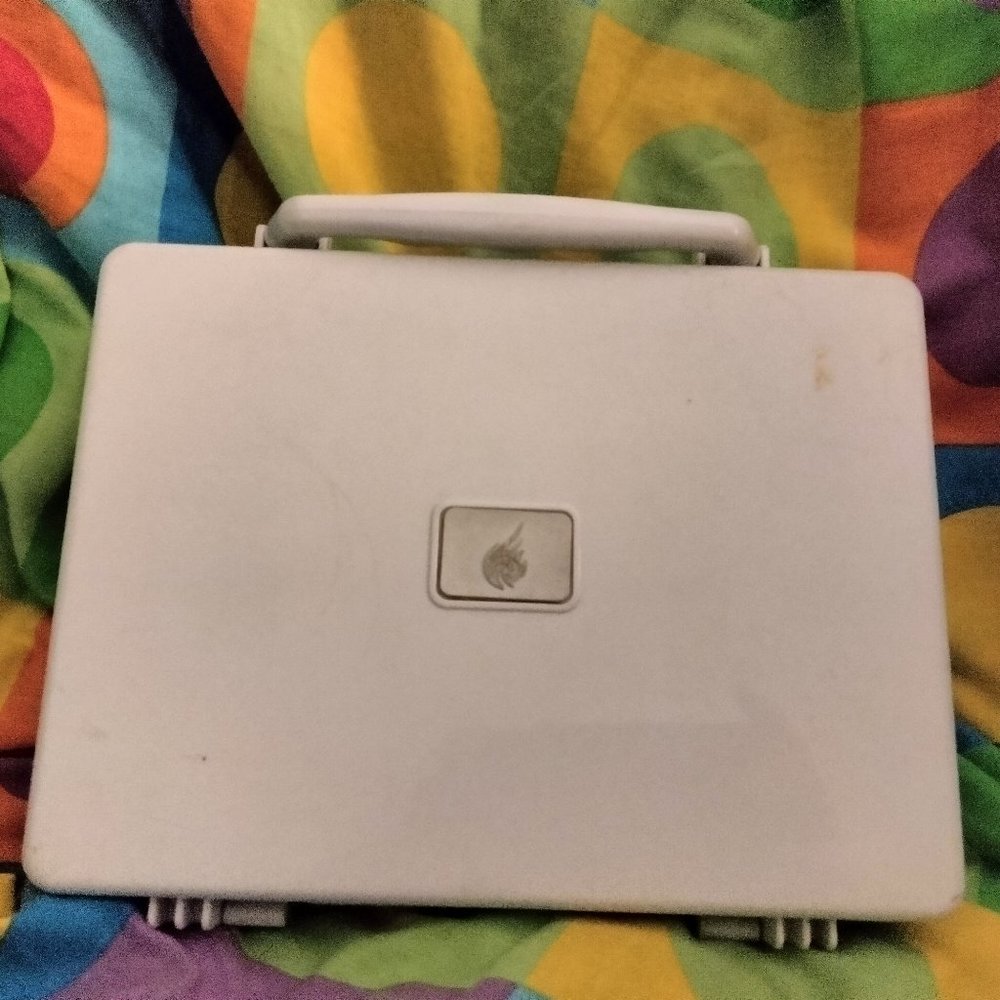 React White DS Carrying Case